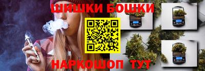 молекула духа Новозыбков