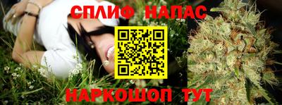 молекула духа Новозыбков