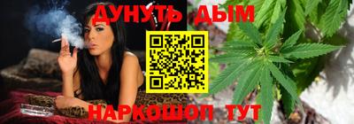 молекула духа Новозыбков