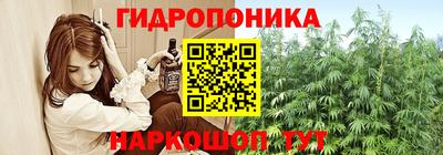 молекула духа Новозыбков