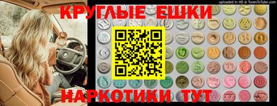 дживик Новокубанск