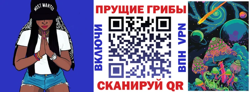 где можно купить Благовещенск Галлюциногенные грибы мухоморы