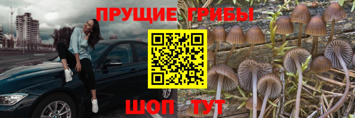 Благовещенск  Псилоцибиновые грибы прущие грибы  Вход с VPN 